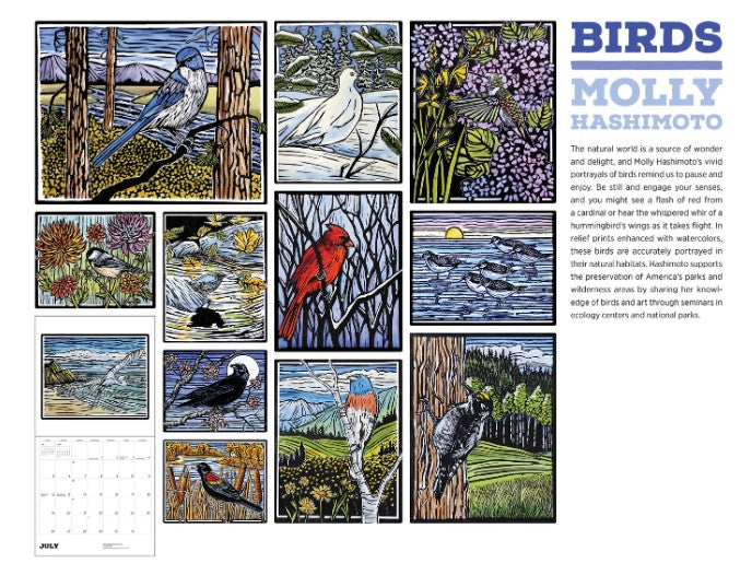 2026 Molly Hashimoto: Birds Wall Calendar