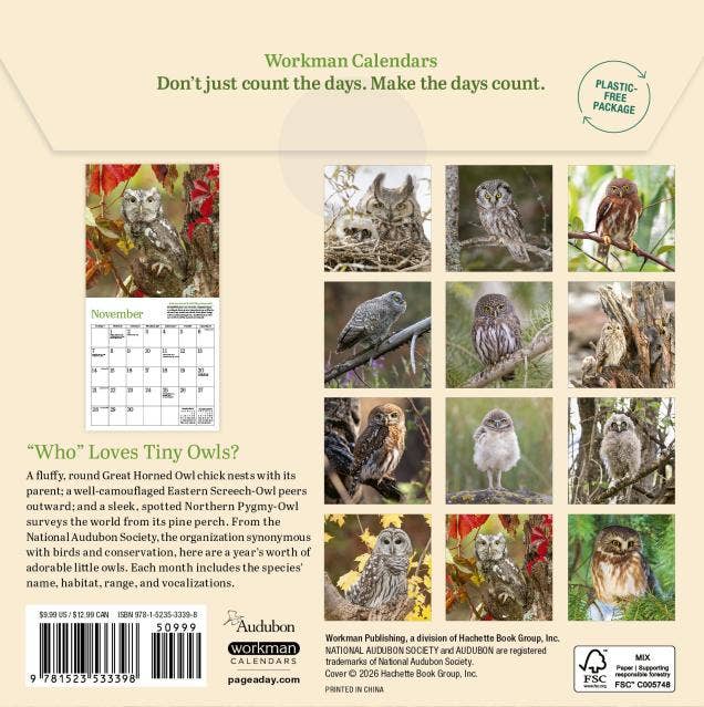 Audubon Little Owls Mini Wall Calendar 2027