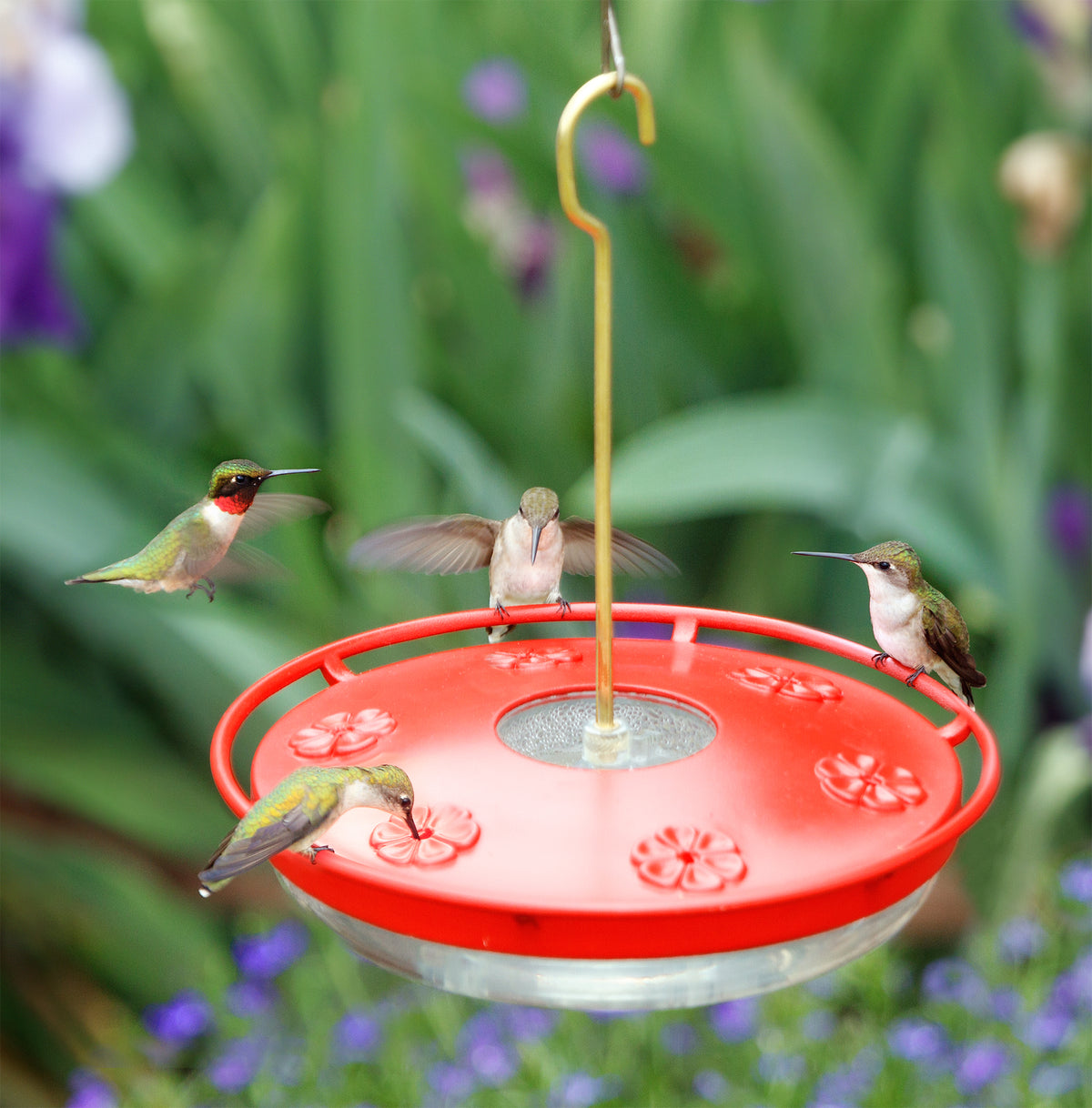 HummZinger Excel 16oz Hummingbird Feeder