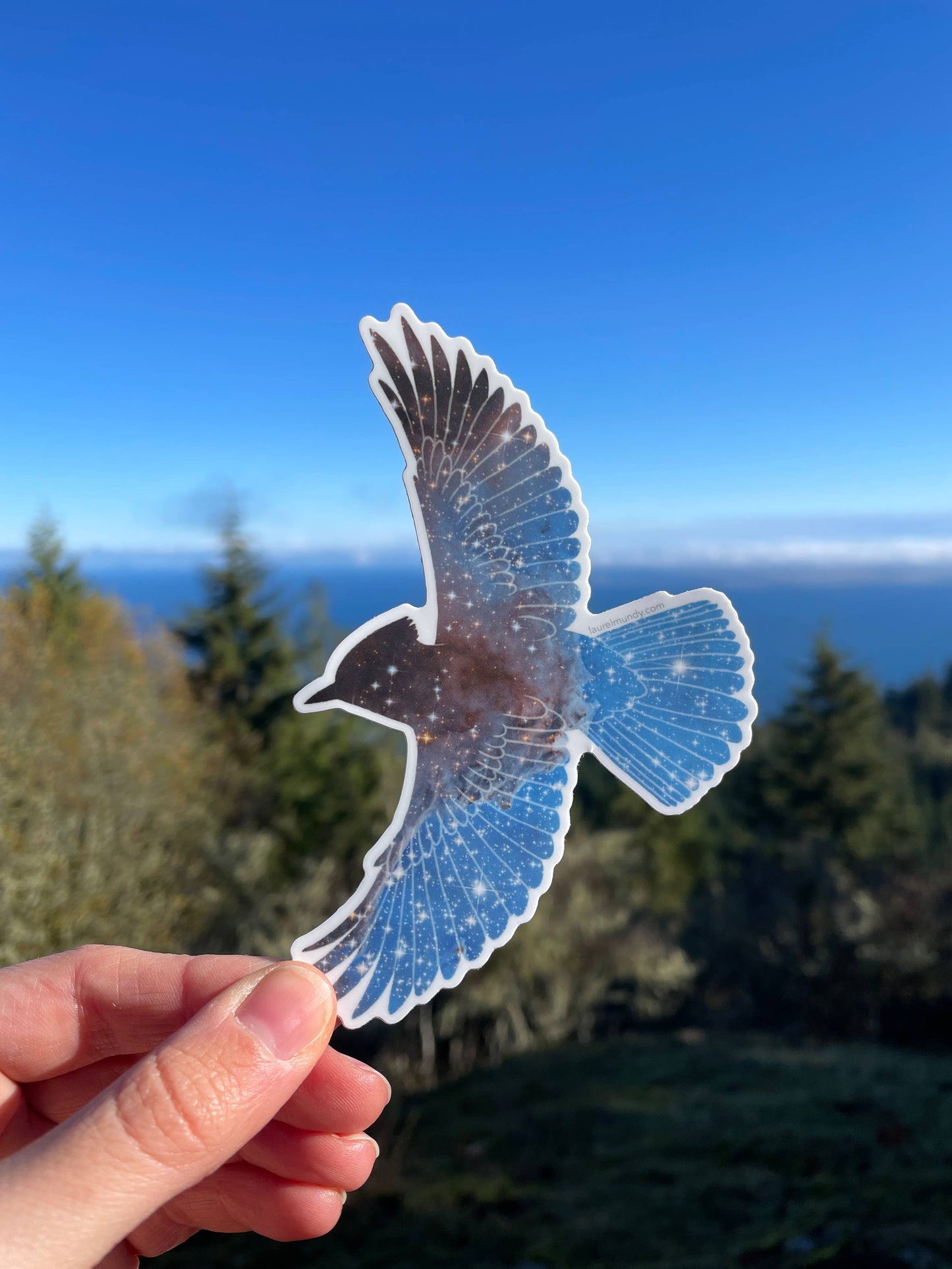 Inter-Steller's Jay 4" vinyl sticker - waterproof