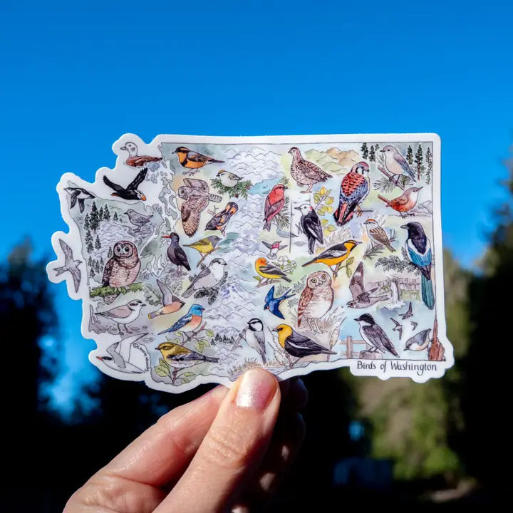 Birds of Washington Sticker 5.25"X3.5" Large Vinyl Sticker
