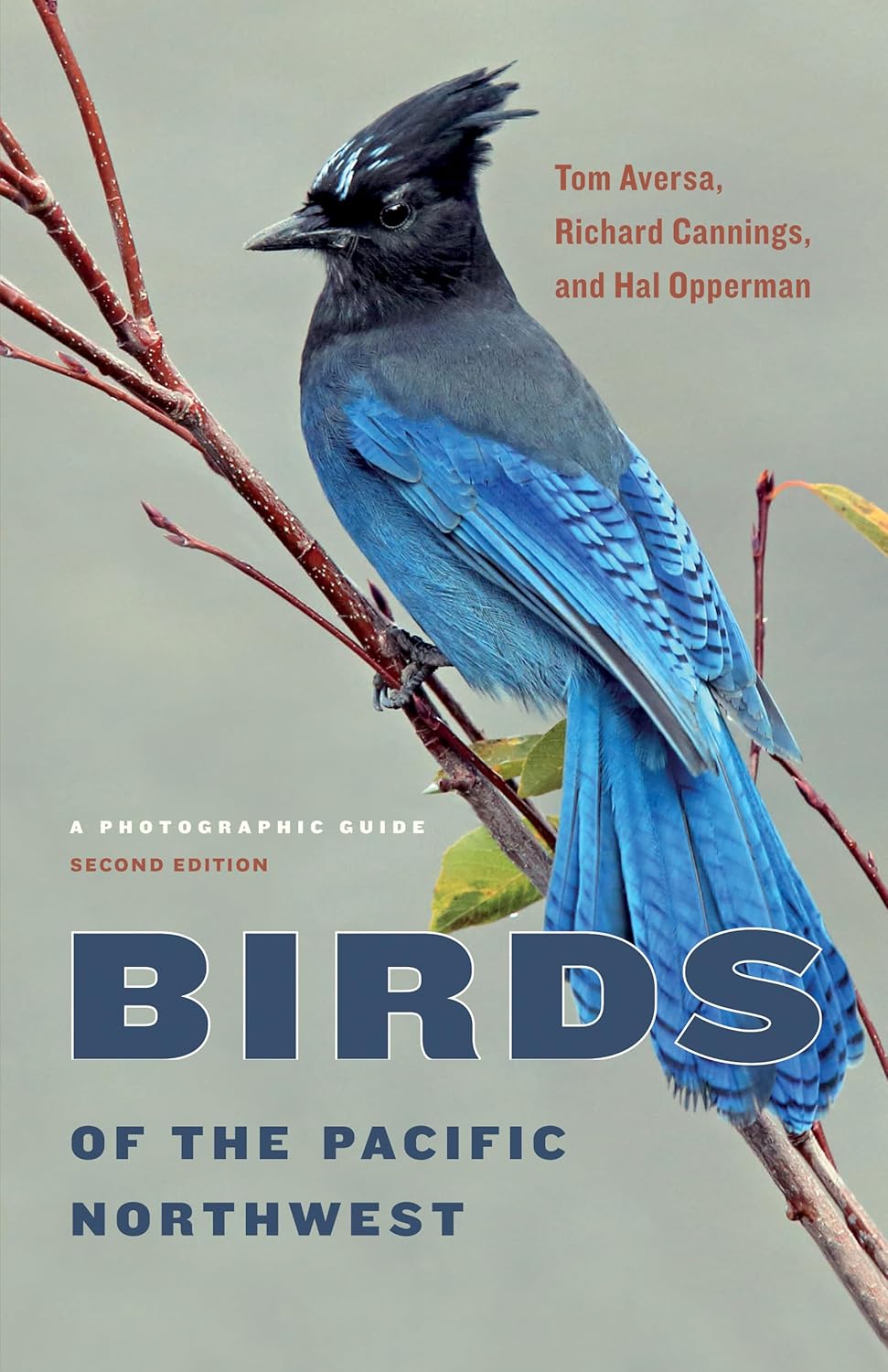 Birds of the Pacific Northwest: A Photographic Guide 2nd Edition