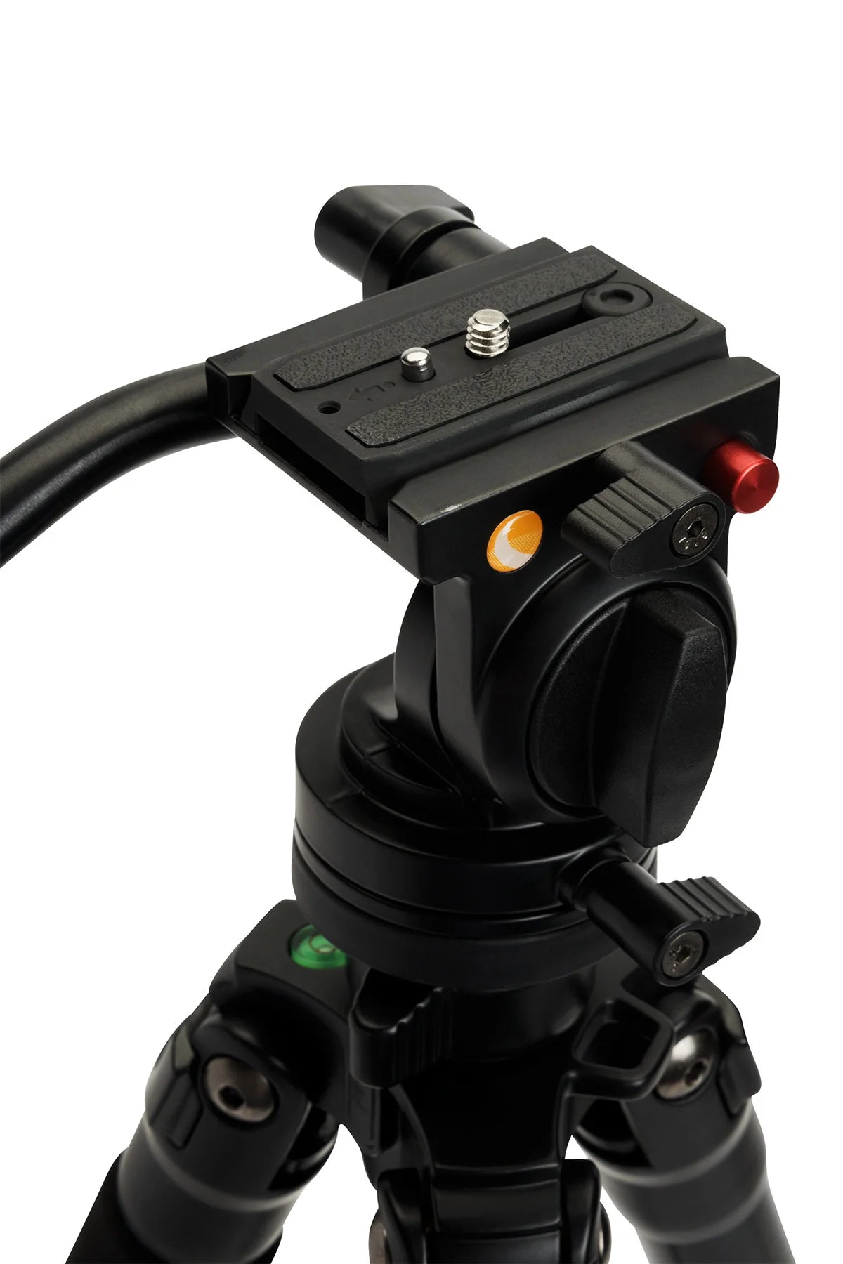 Celestron Regal Premium Tripod Kit (In Store Pickup)