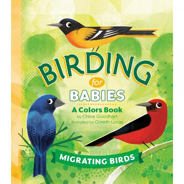 Birding for Babies: A Colors Book