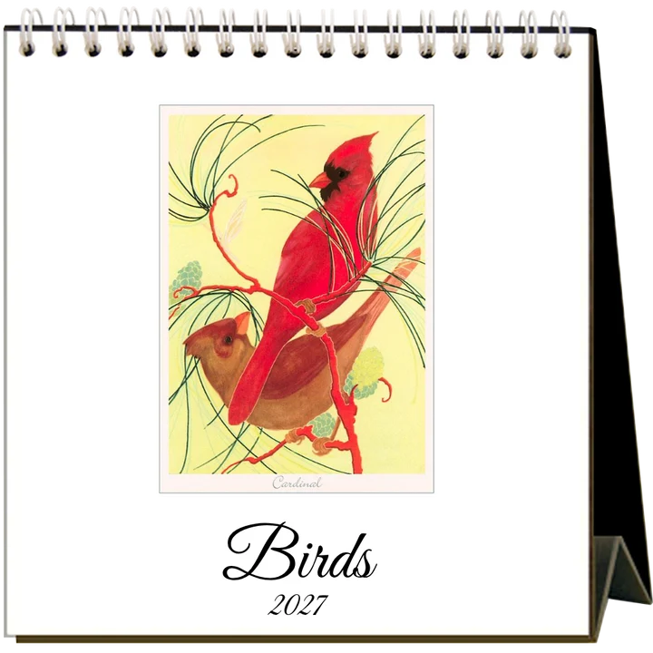 Birds 2027 Desk Calendar by Found Image Press