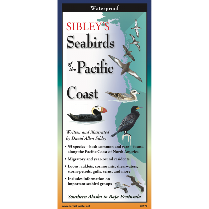 Seabirds of the Pacific Coast Laminated Guide
