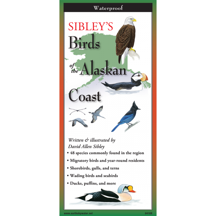 Birds of the Alaskan Coast Laminated Guide