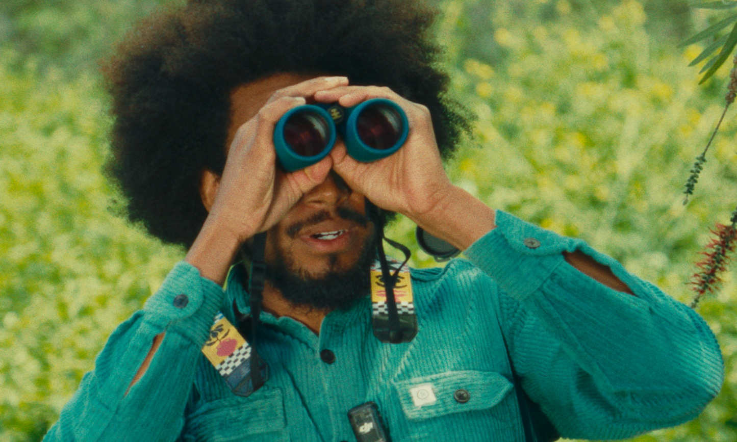 Pro Issue 8X42 Waterproof Binoculars