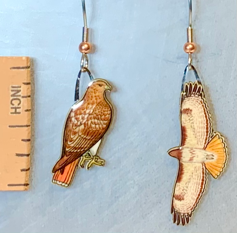 Red-tailed Hawk Earrings