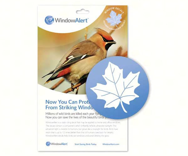Window Alert 3 - Pack - Maple Leaf