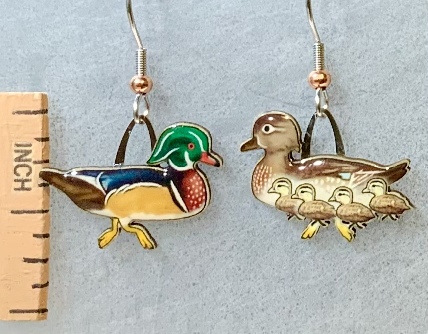 Wood Duck Earrings
