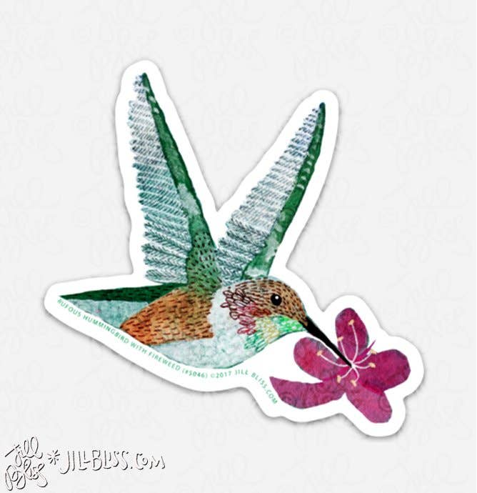 ART STUDY RUFOUS HUMMINGBIRD & FIREWEED STICKER