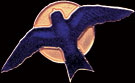Wm. Spear Purple Martin Pin