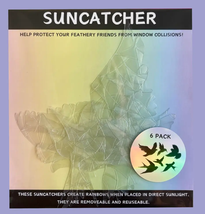 Circle Shape Suncatcher Pack