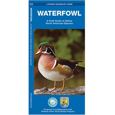 Waterfowl Laminated Guide