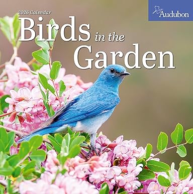 2026 Audubon Birds in the Garden Wall Calendar