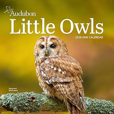 2026 Audubon Little Owls Mini Calendar