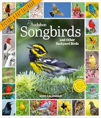 2026 Audubon Songbirds Picture-a-Day Wall Calendar