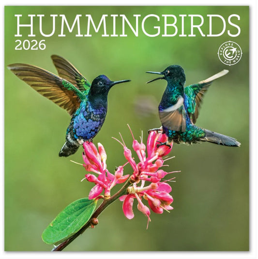 2026 Mini Hummingbirds Calendar