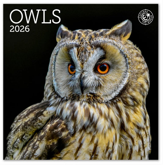2026 Mini Owls Calendar