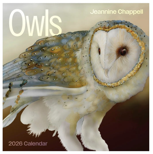 2026 Owl: Jeanine Chappell Wall Calendar