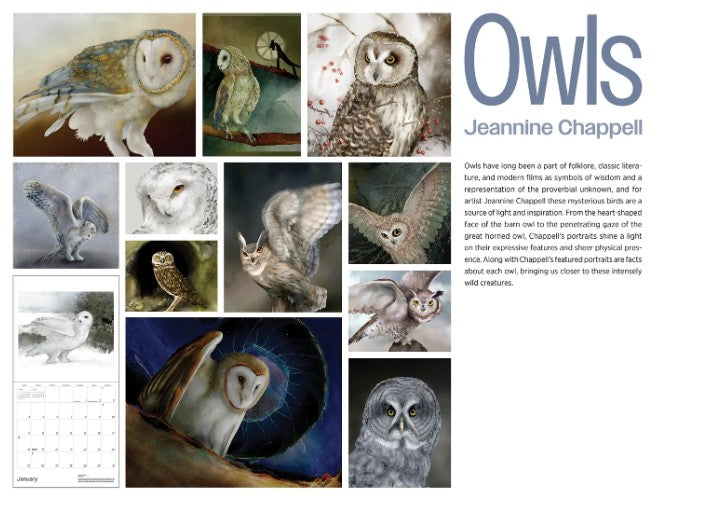 2026 Owl: Jeanine Chappell Wall Calendar
