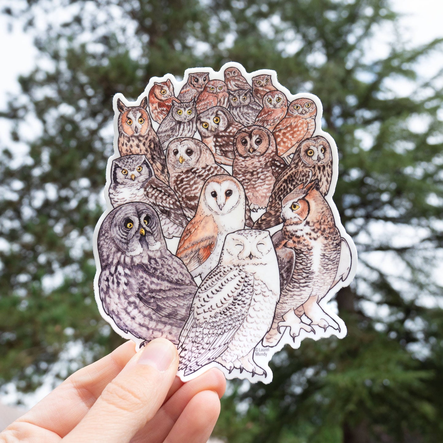 Owl Family Portrait Bird Sticker 5"X4" Large Vinyl Sticker