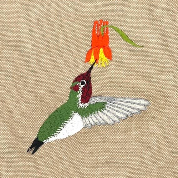 Anna's Hummingbird Field Bag