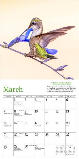 Audubon Hummingbirds Mini Wall Calendar 2027