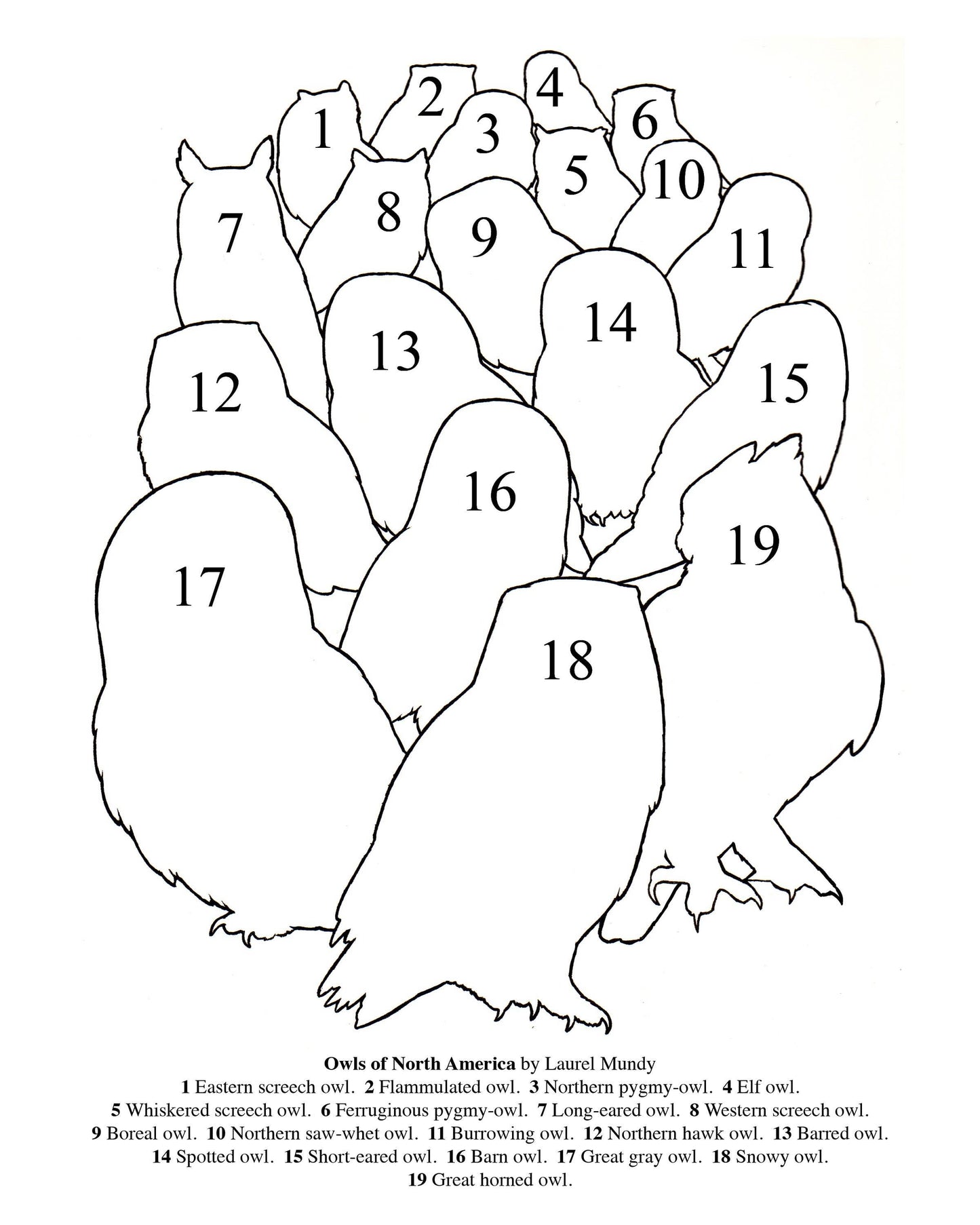 Owl Family Portrait Bird Sticker 5"X4" Large Vinyl Sticker