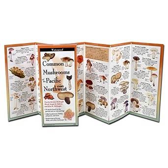 Common Mushrooms of the Pacific Northwest - Laminated Nature Identification Guide