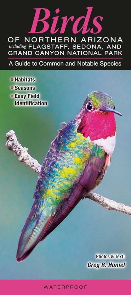 Birds of Northern Arizona Laminated