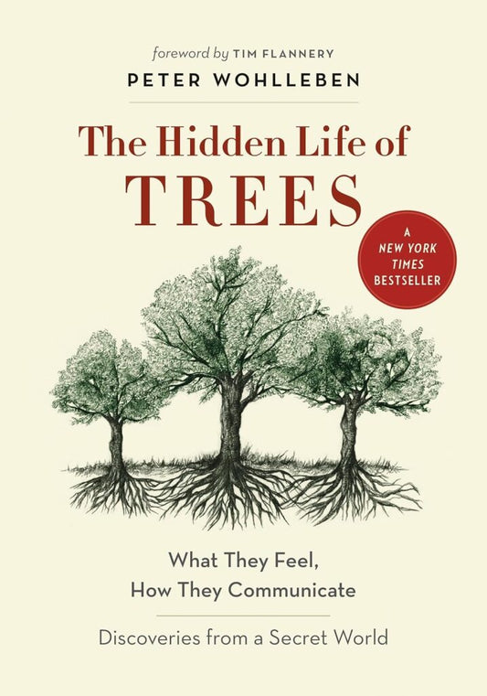 Hidden Life of Trees: What They Feel, How They Communicate