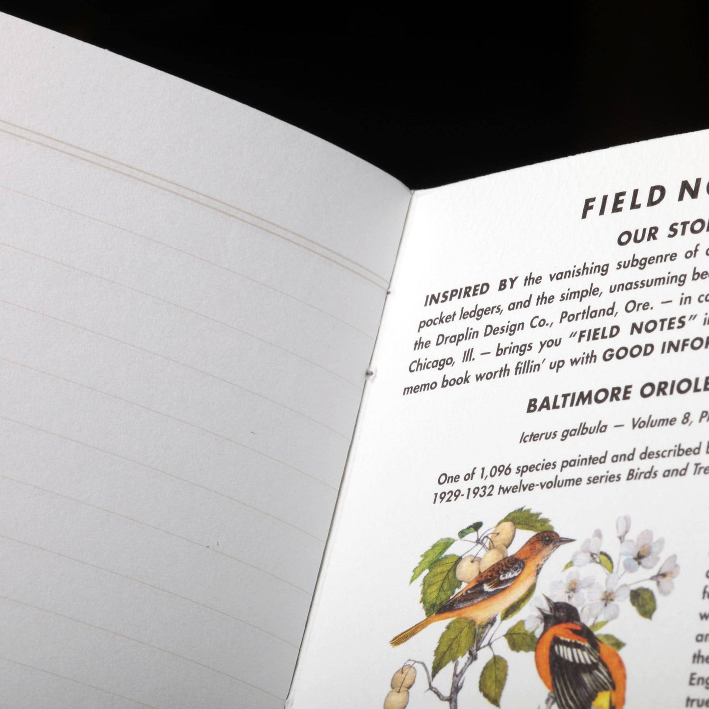 Birds and Trees of North America Notebook Pack