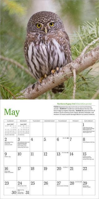 Audubon Little Owls Mini Wall Calendar 2027