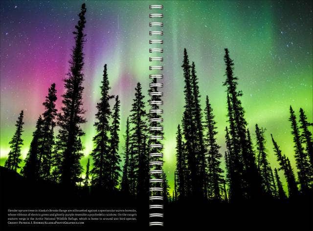 Audubon Engagement Calendar 2027