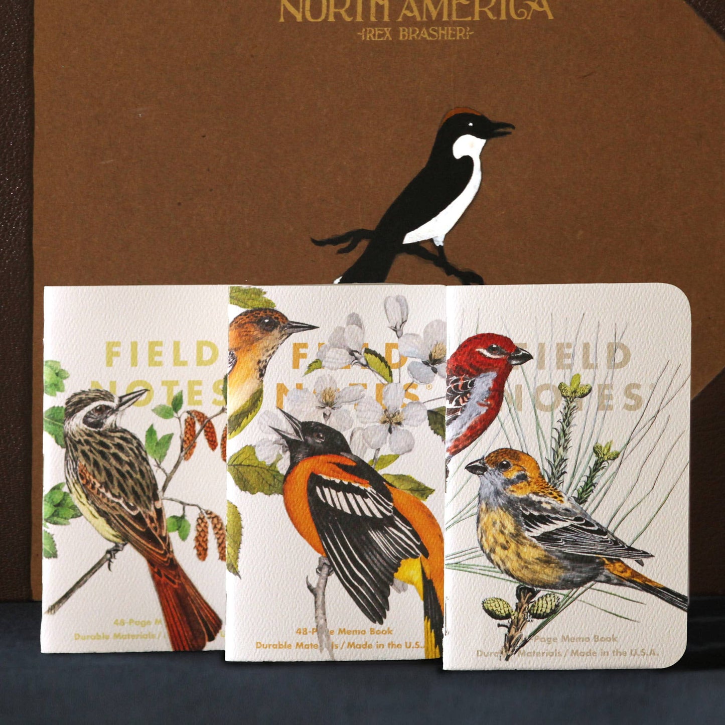 Birds and Trees of North America Notebook Pack