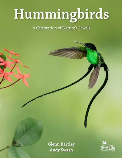 Hummingbirds: A Celebration of Nature's Jewels