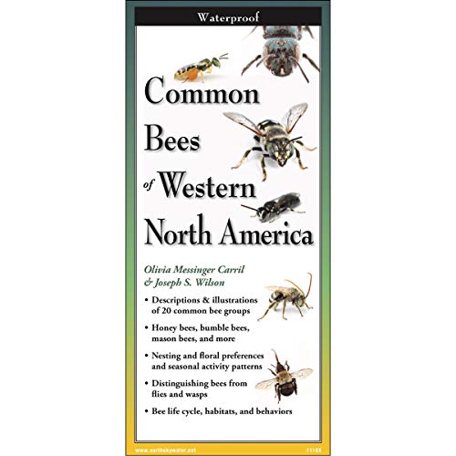 Common Bees of Western North America Laminated