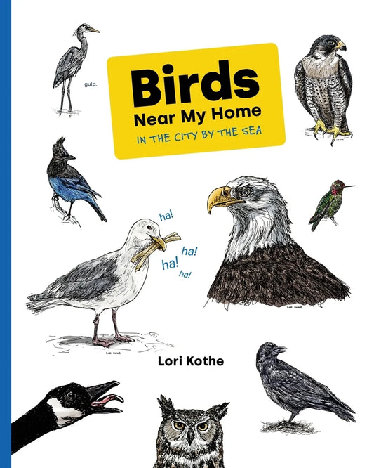 Birds New My Home: In the City by the Sea
