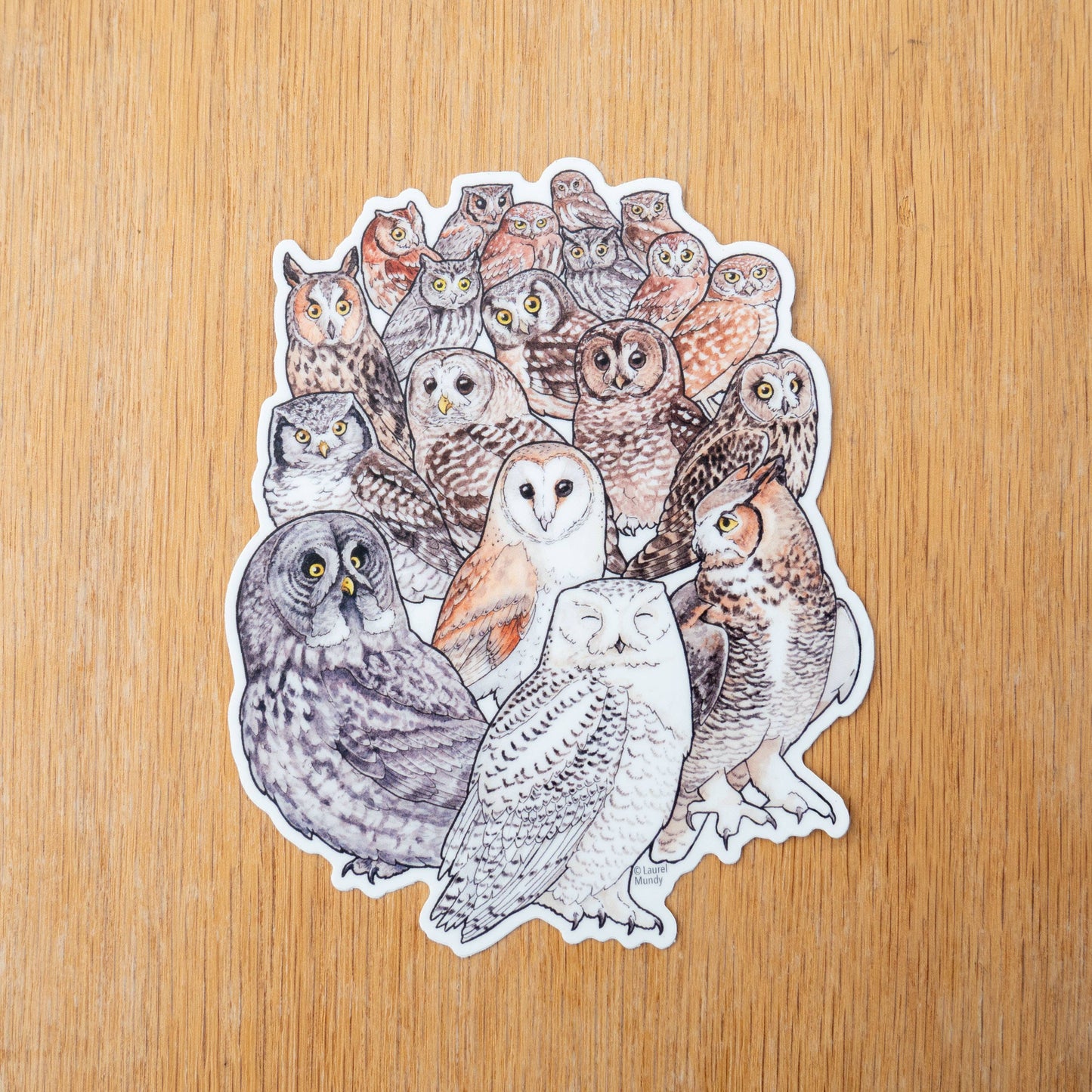 Owl Family Portrait Bird Sticker 5"X4" Large Vinyl Sticker