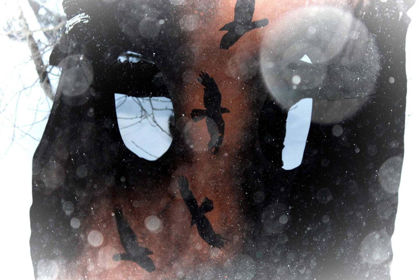 Murder of Crows Long Flowing Vest Black Ravens Sleeveless