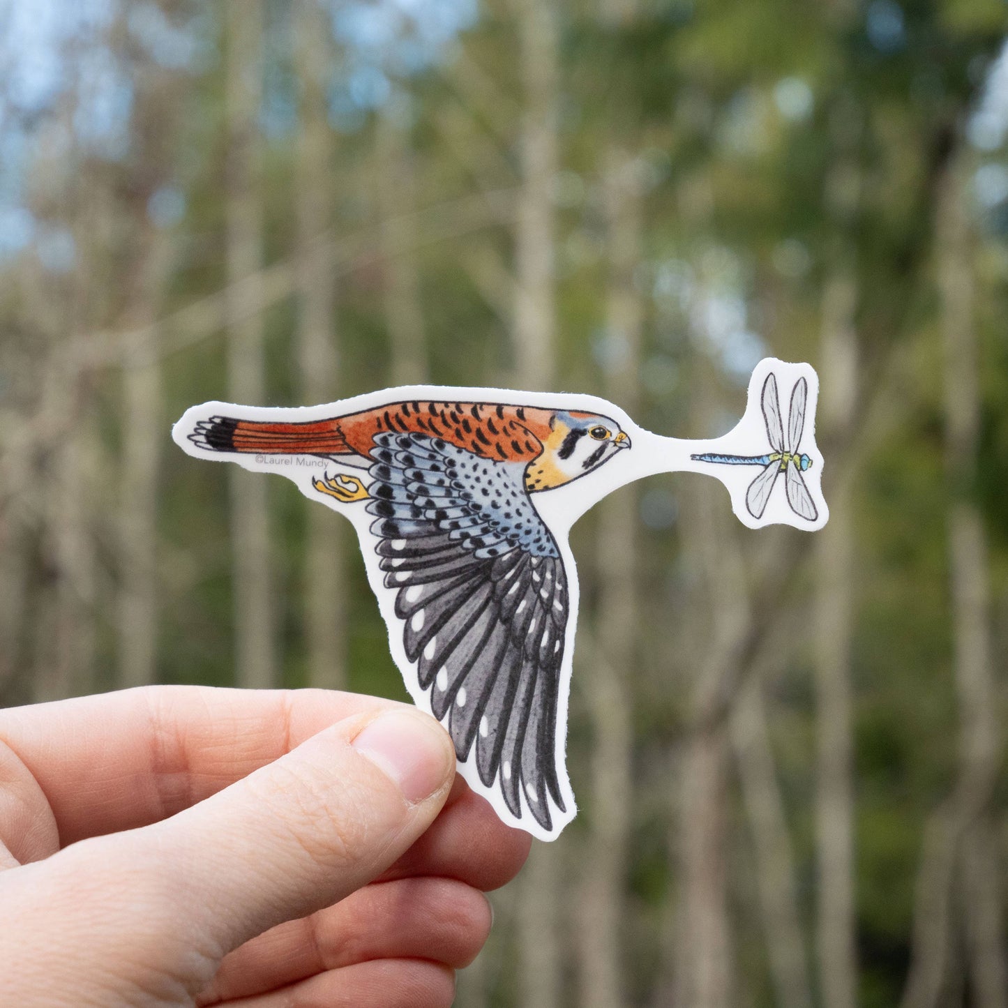 Kestrel Hunt 3" Vinyl Sticker dishwasher safe