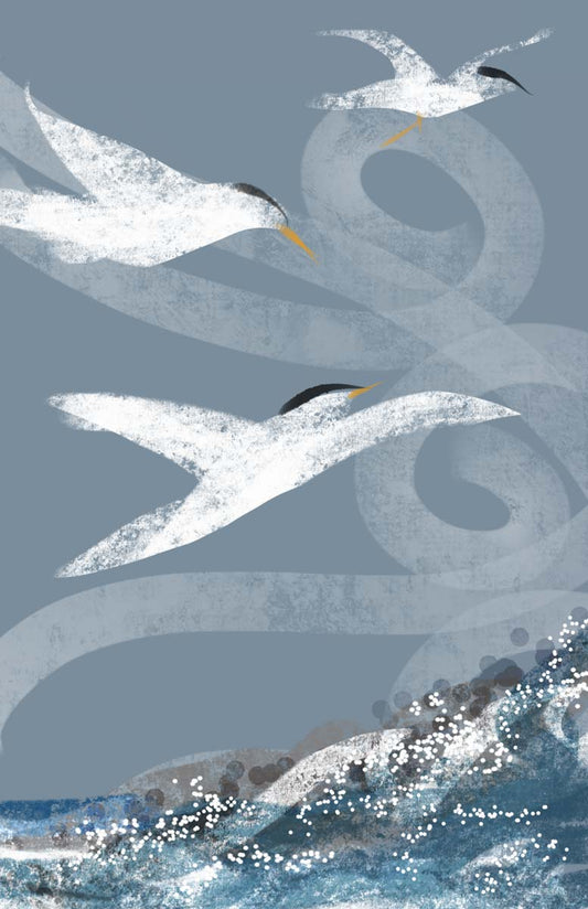 Caspian Terns