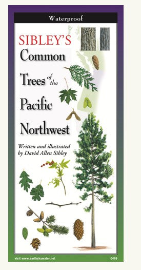 Common Trees of the Pacific Northwest