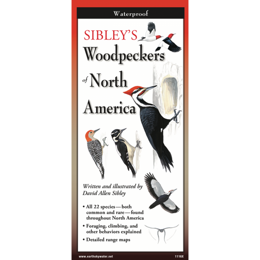 Woodpeckers of North America
