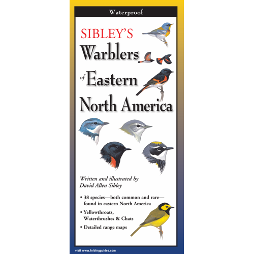 Sibley's Warblers of Eastern North America Laminated