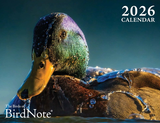2026 BirdNote Calendar