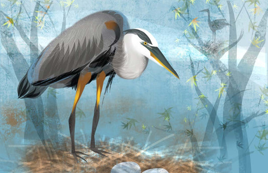 Heron Rookery
