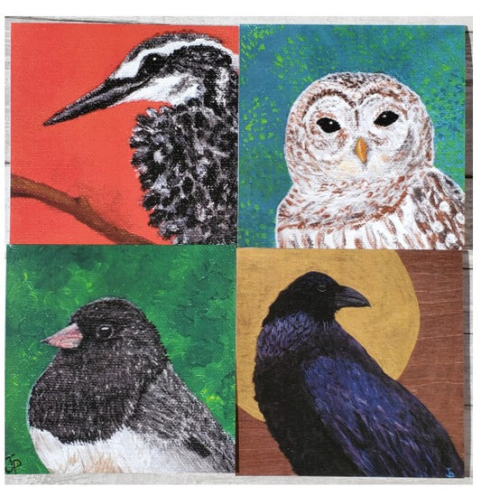 PNW Bird Greeting Card Set